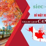 Bí Mật để Xin Visa Du Lịch Canada Dễ Dàng và Thành Công