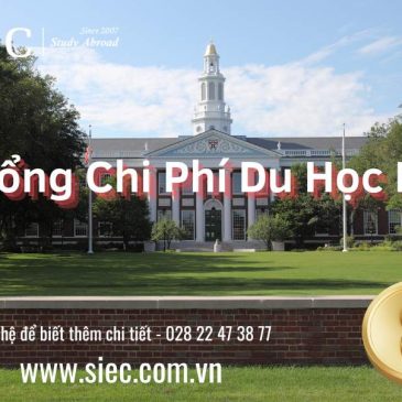 Tổng Chi Phí Du Học Mỹ Cần Bao Nhiêu Tiền?