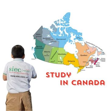 Tư Vấn Du Học Canada Miễn Phí Tại TP HCM – Cơ Hội Vàng Cho Du Học Sinh và Phụ Huynh