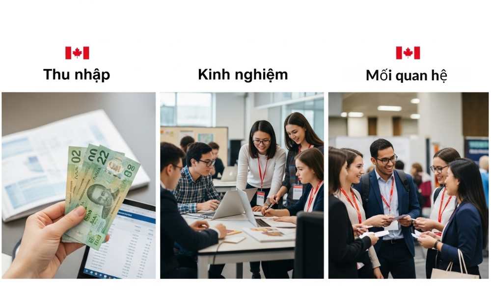 Ba lợi ích chính của chương trình Co-op Canada: Thu nhập, Kinh nghiệm và Mối quan hệ