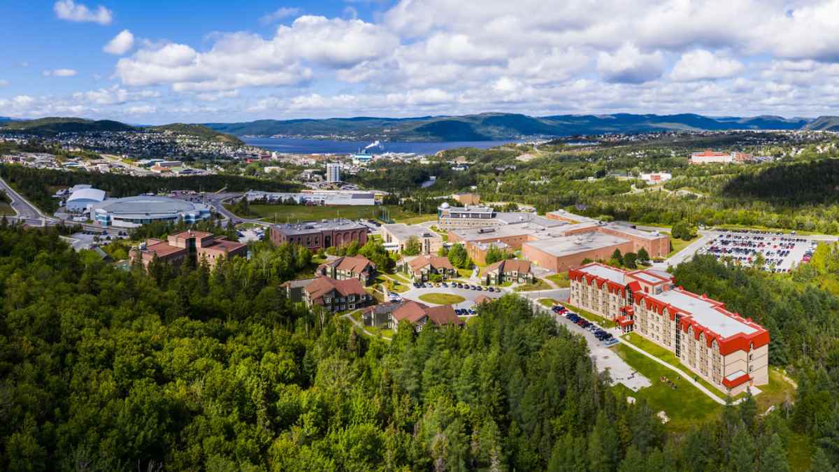 Study at Memorial University of Newfoundland, the university with low tuition and AIP immigration opportunities.