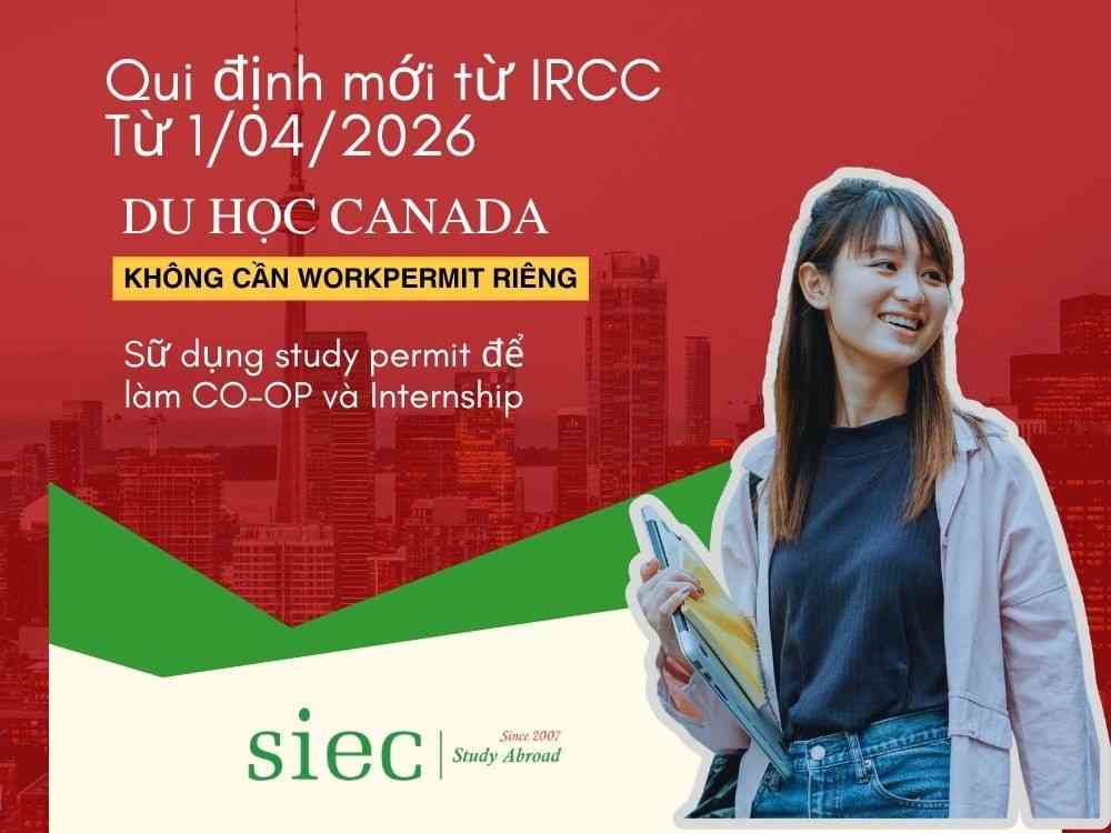 Cẩm nang làm thêm Canada 2026: Quy định Co-op, Study và Open Work Permit