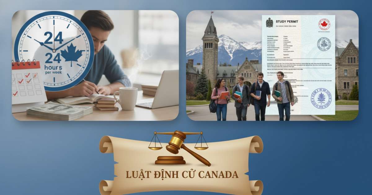 Quy định làm thêm 24 giờ mỗi tuần và chính sách Study Permit
